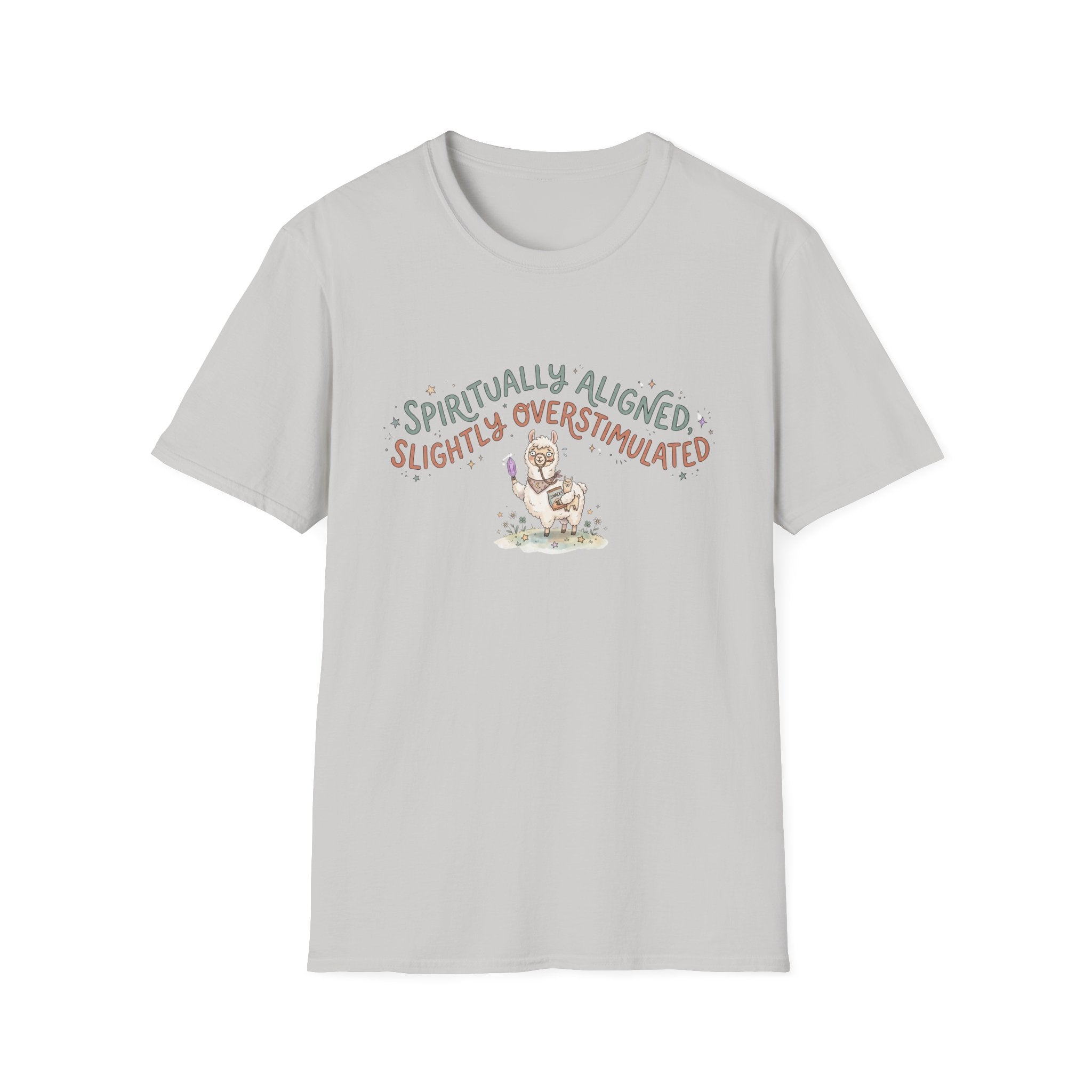 Spiritually Aligned Slightly Overstimulated T-Shirt