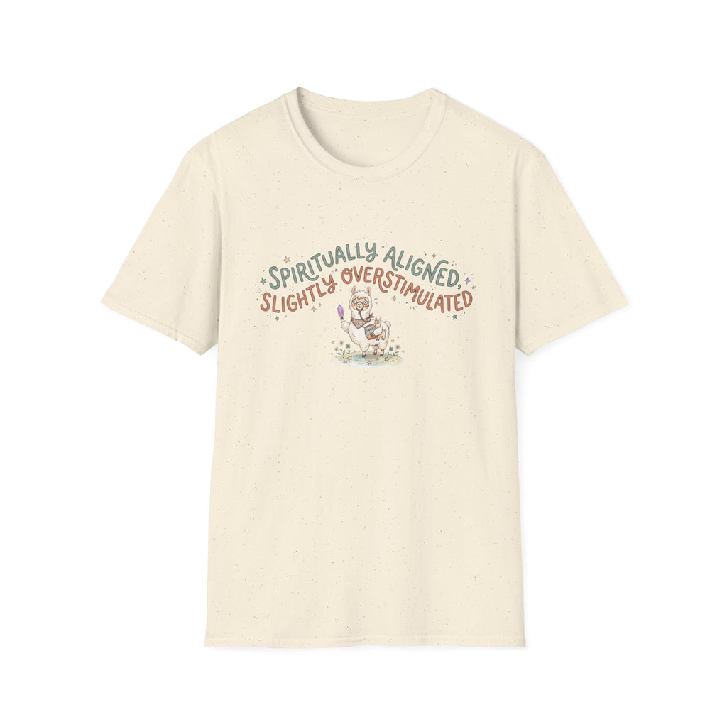 Spiritually Aligned Slightly Overstimulated T-Shirt