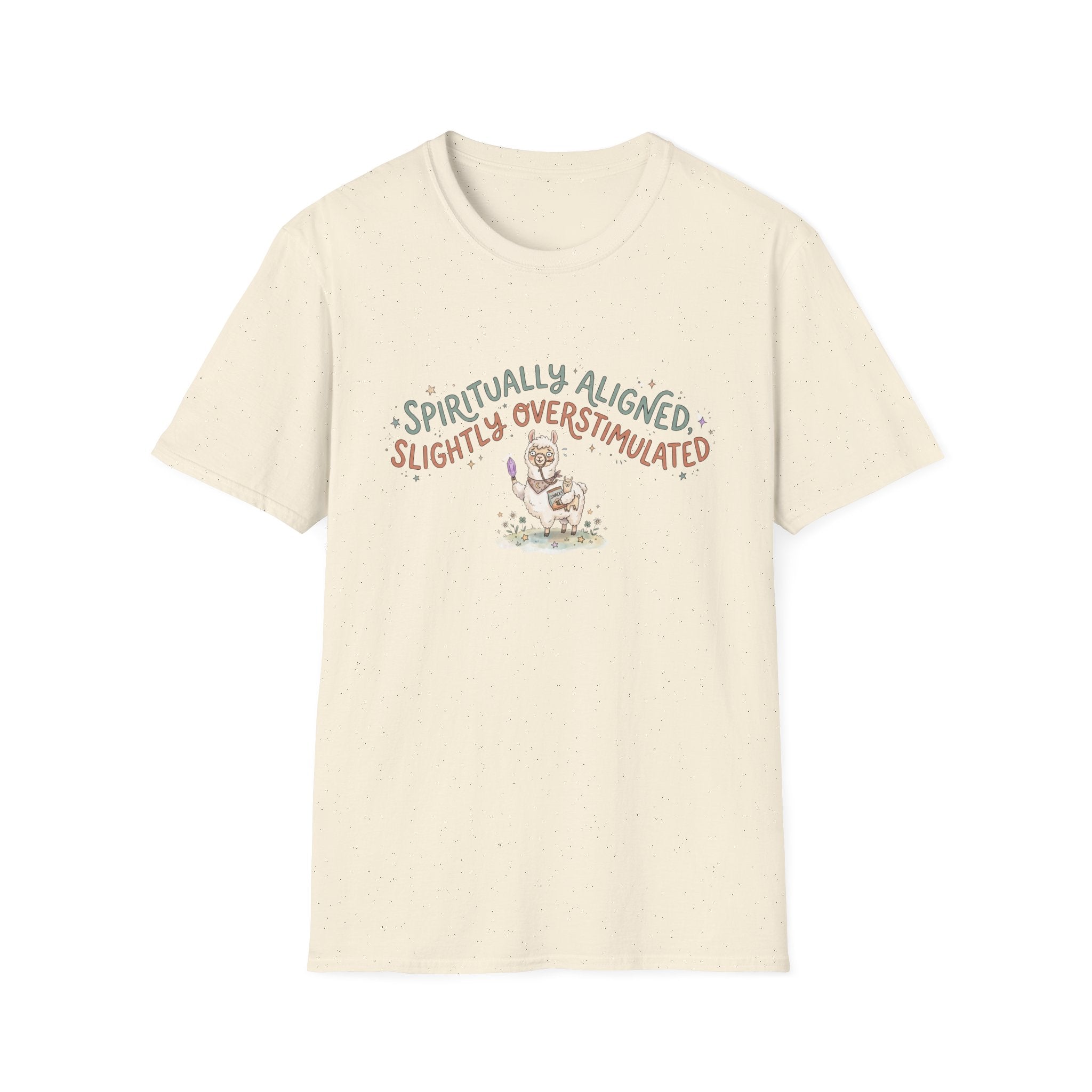 Spiritually Aligned Slightly Overstimulated T-Shirt
