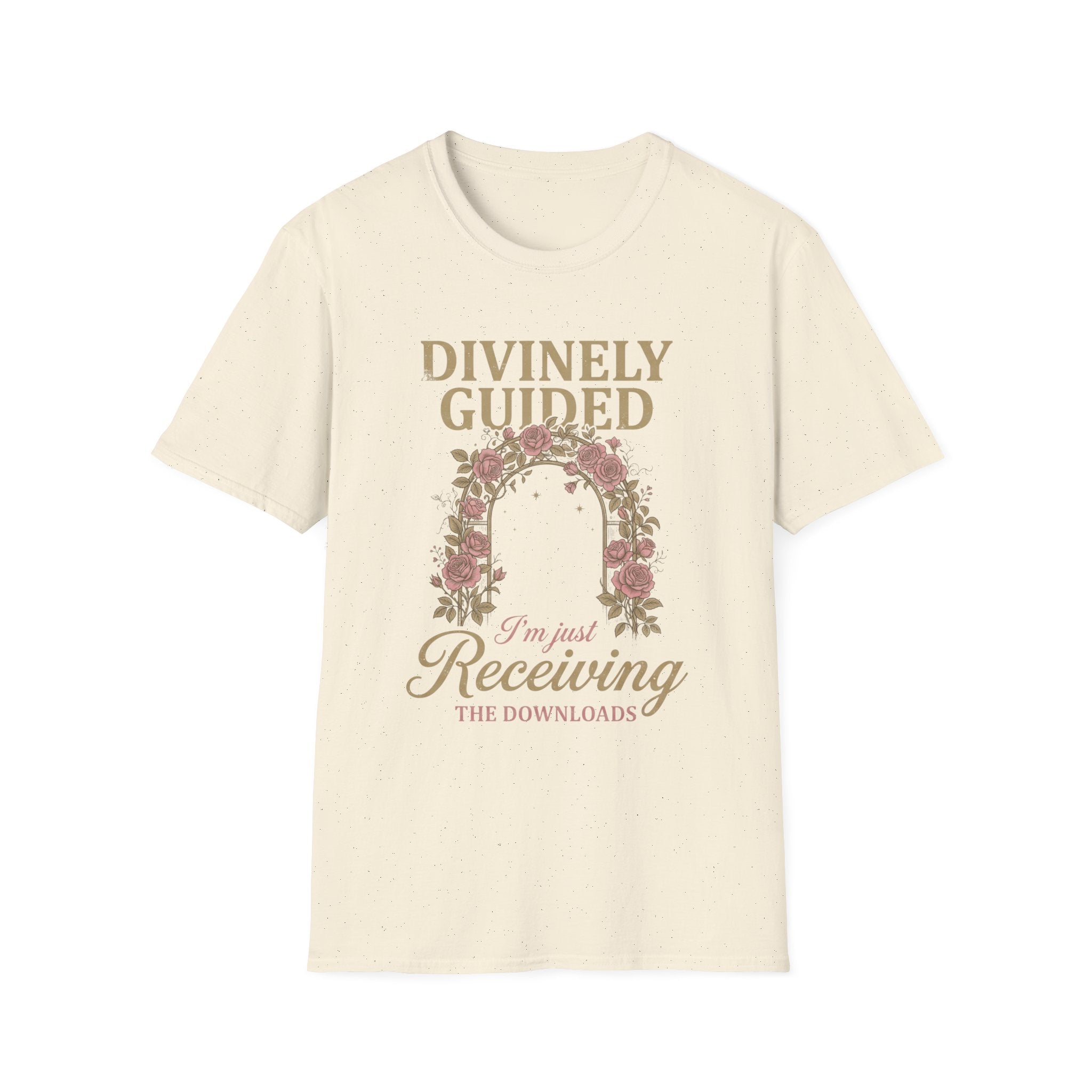 "I'm Just Receiving the Downloads" T-shirt