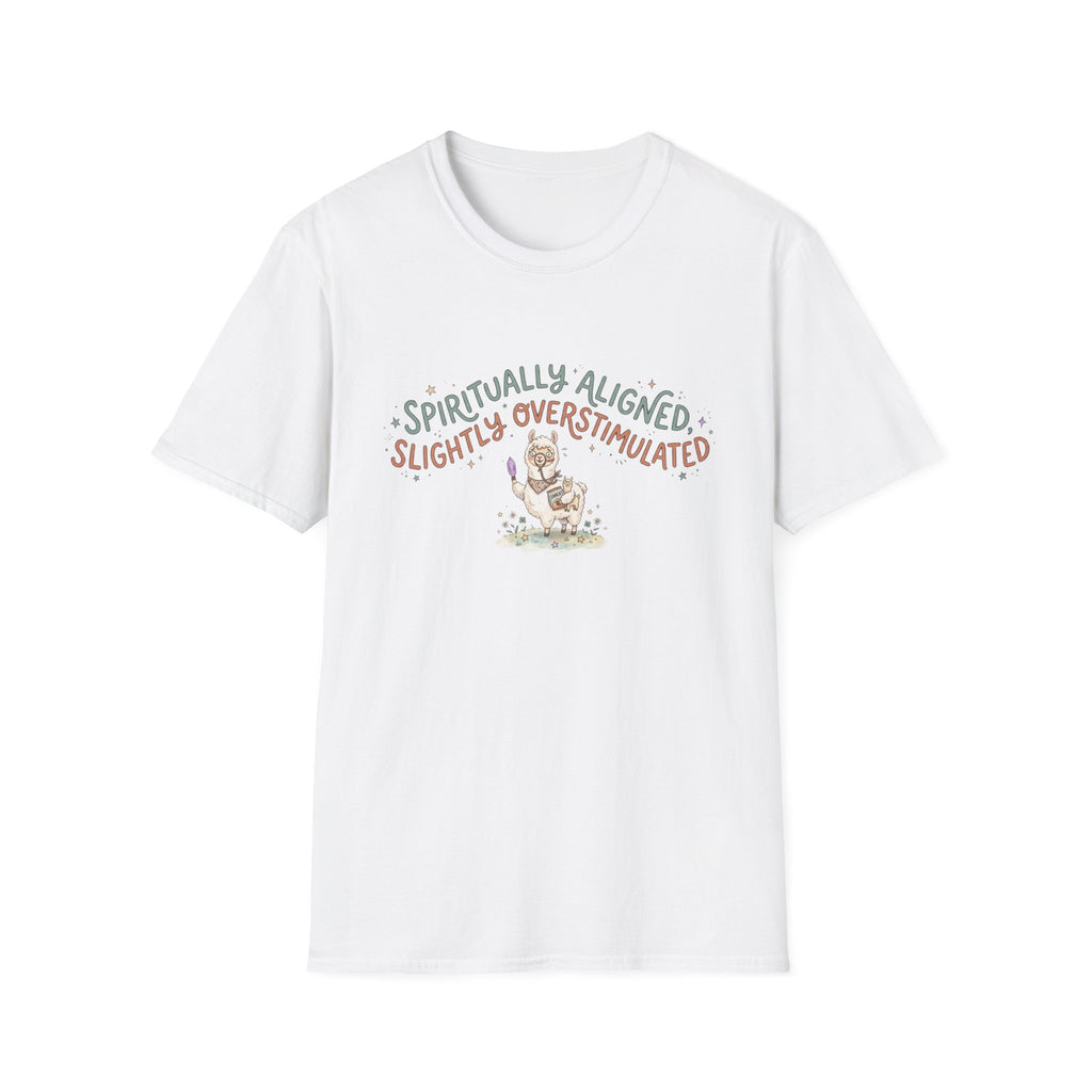 Spiritually Aligned Slightly Overstimulated T-Shirt