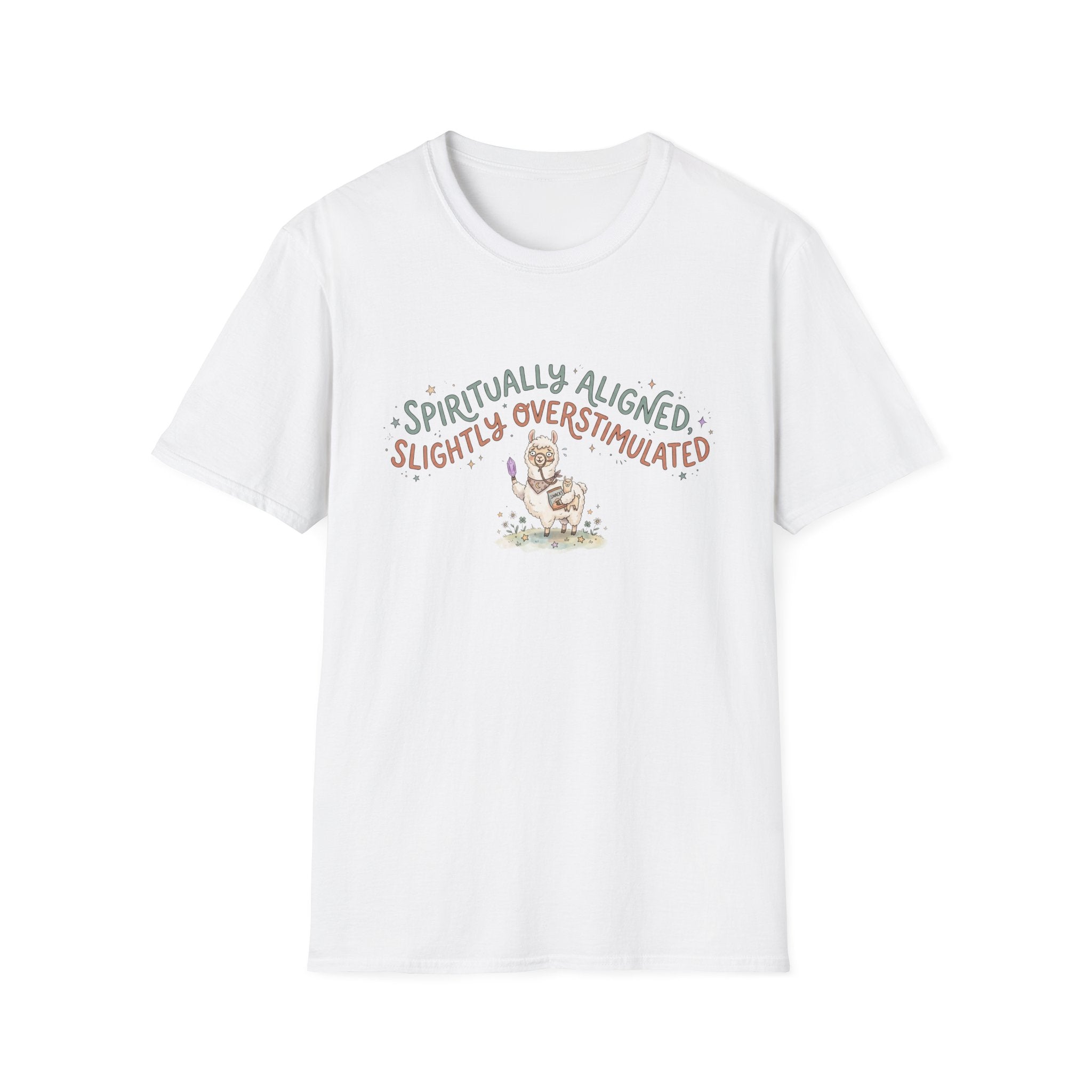 Spiritually Aligned Slightly Overstimulated T-Shirt