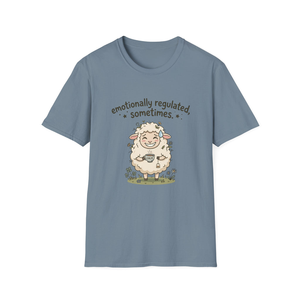 Emotionally Regulated Sometimes T-Shirt
