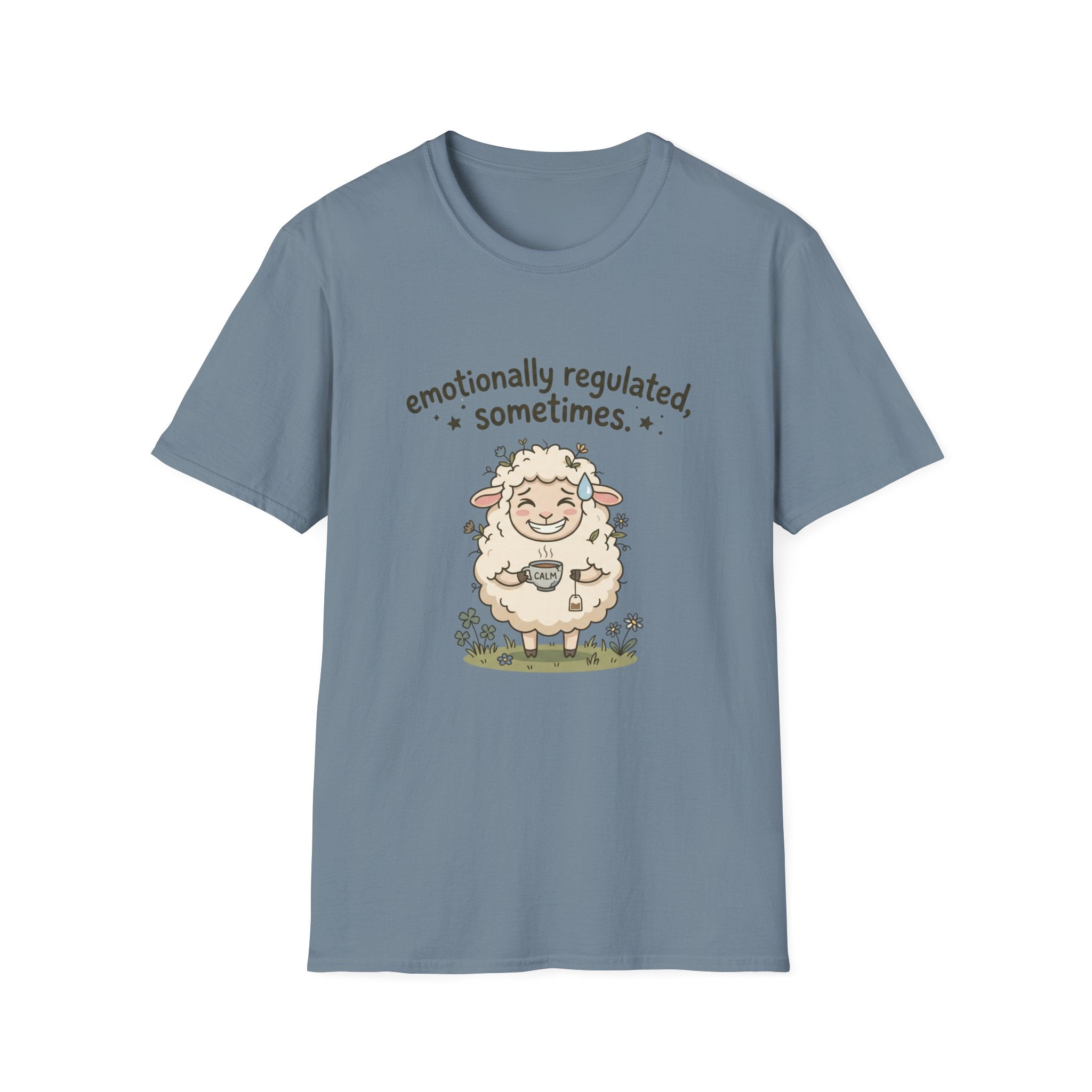 Emotionally Regulated Sometimes T-Shirt
