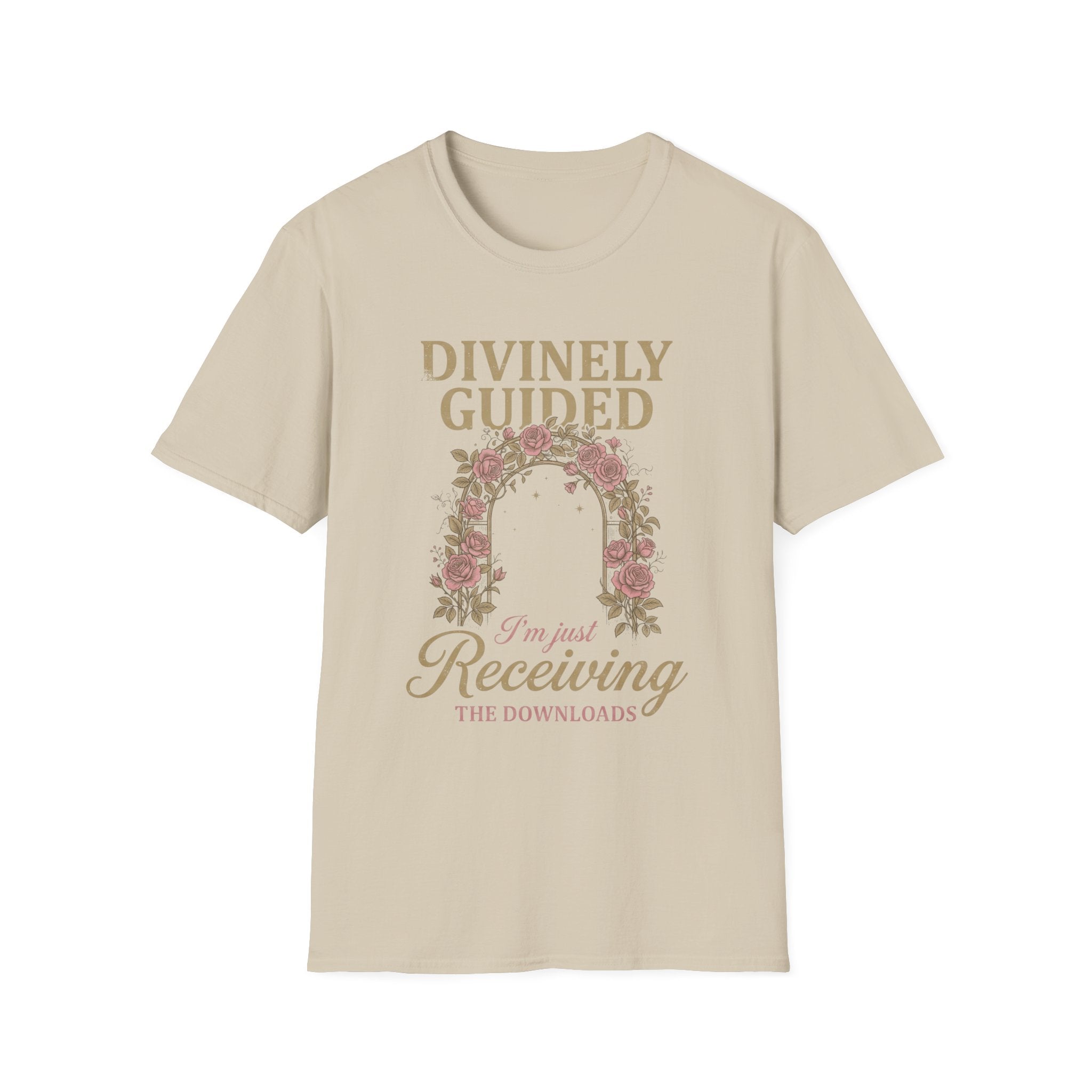 "I'm Just Receiving the Downloads" T-shirt