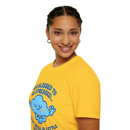 Too Blessed To Be Stressed T-Shirt