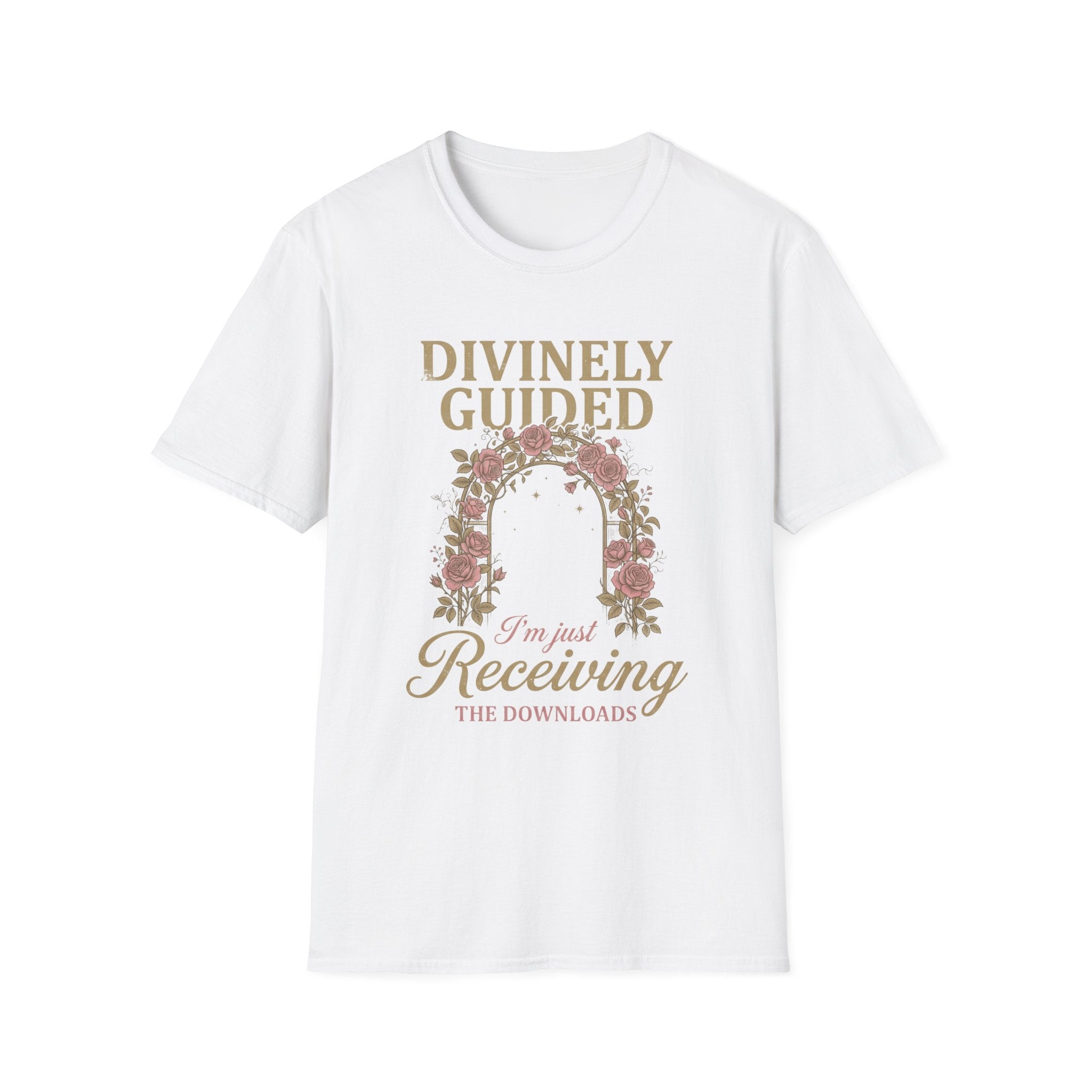 "I'm Just Receiving the Downloads" T-shirt
